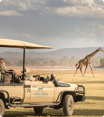 Zambia 